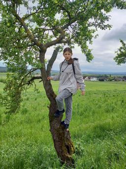 bild-2-1